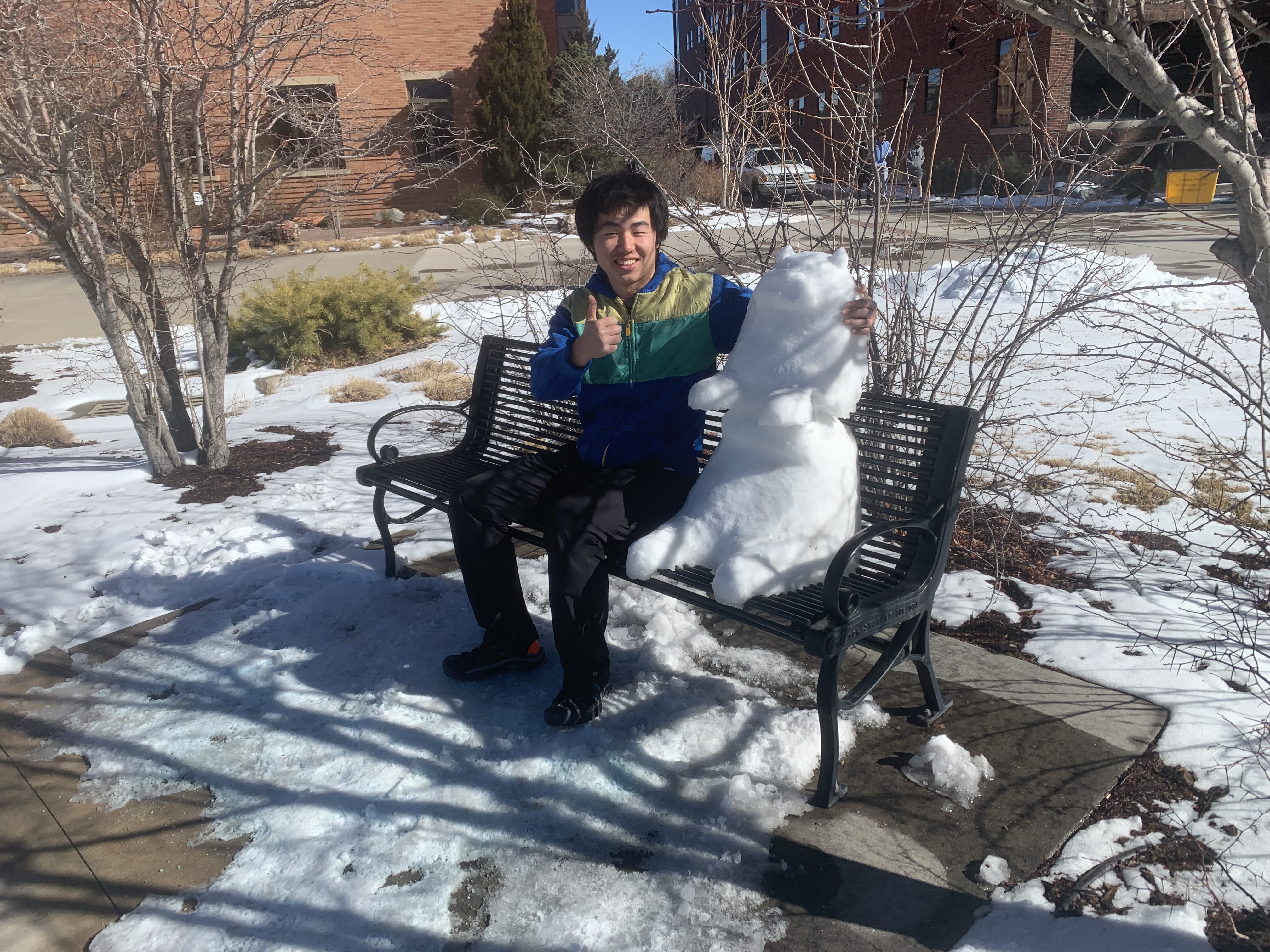 snowbear